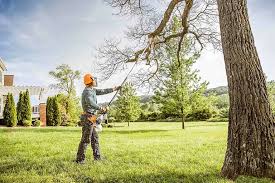 Best Hazardous Tree Removal  in Ringgold, GA