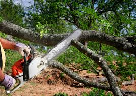 Best Utility Line Clearance  in Ringgold, GA